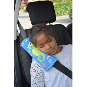 Fourreau de ceinture - Auto Pratic