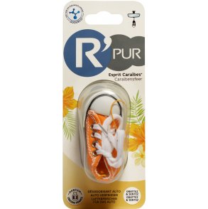 Désodorisant auto basket esprit caraïbes - R'Pur R'Pur