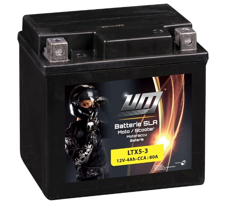 Batterie LTX5-3 - UM