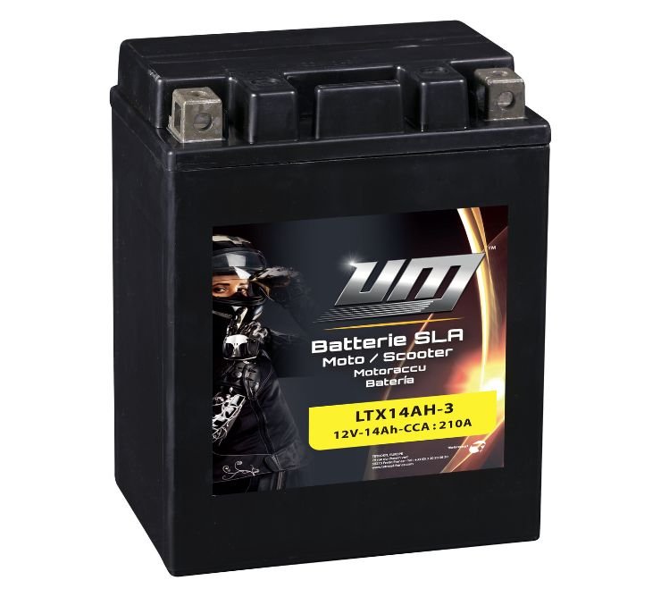 Batterie LTX14AH-3 - UM