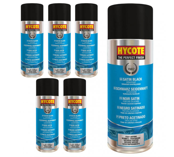 Peinture Sechage Rapide Noir Satine Pack 6