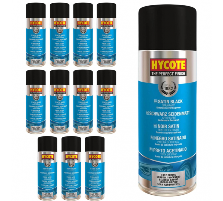 Peinture Sechage Rapide Noir Satine Pack 12