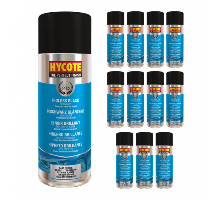 Peinture Sechage Rapide Noir Brillant Pack 12