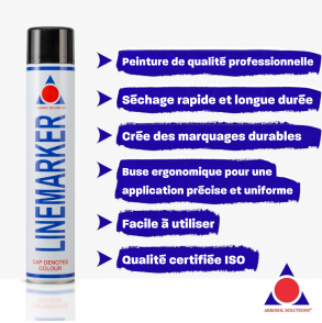 Line Marker - Bombe de Peinture Noir 750ml