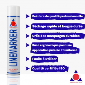 Line Marker - Bombe de Peinture Blanc Pack 6 750ml