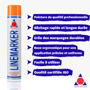 Line Marker Bombe de Peinture Orange Pack 6 750ml